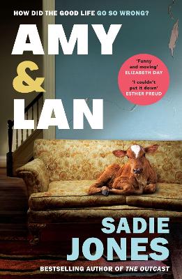 Amy and Lan: The enchanting new novel from the Sunday Times bestselling author of The Outcast by Sadie Jones