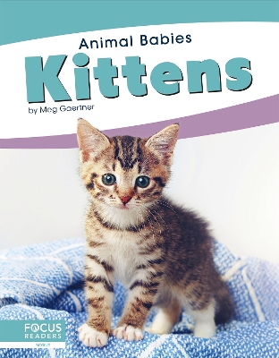 Animal Babies: Kittens by Meg Gaertner