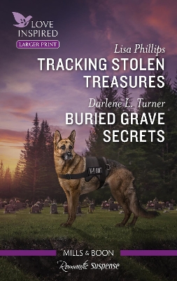 Tracking Stolen Treasures/Buried Grave Secrets book