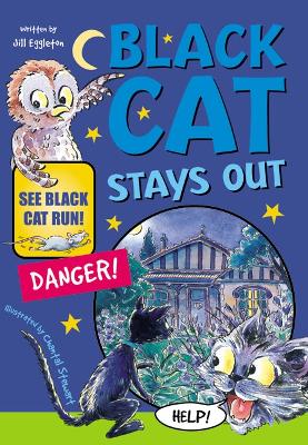 Black Cat Stays Out book