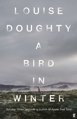 A Bird in Winter: 'Nail-bitingly tense and compelling' Paula Hawkins book