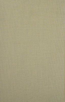 Essays in Radical Empiricism book