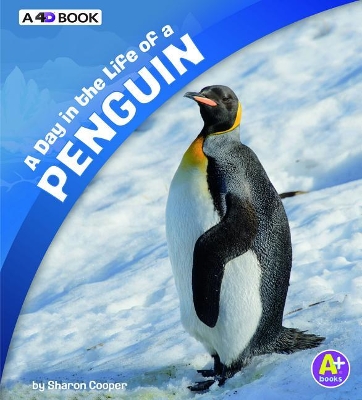 Day in the Life of a Penguin by Sharon Katz Cooper