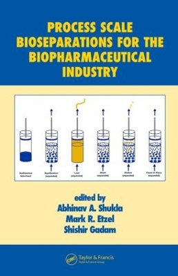 Process Scale Bioseparations for the Biopharmaceutical Industry book