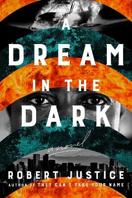 A Dream in the Dark book
