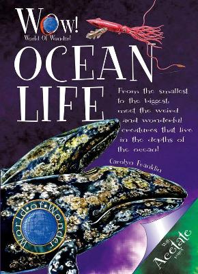 Ocean Life book