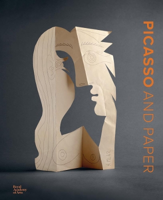 Picasso and Paper book