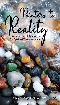 Pointers to Reality: A Collection of Aphorisms for Spiritual Transcendence book