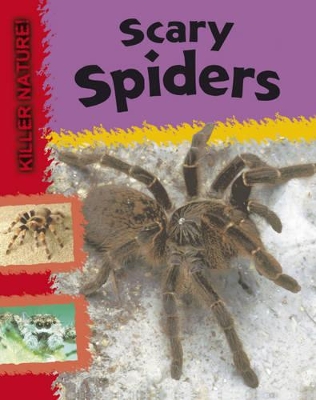 Scary Spiders by Lynn Huggins-Cooper