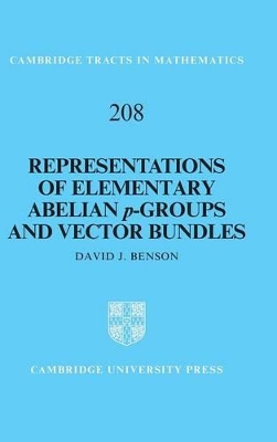 Representations of Elementary Abelian p-Groups and Vector Bundles book