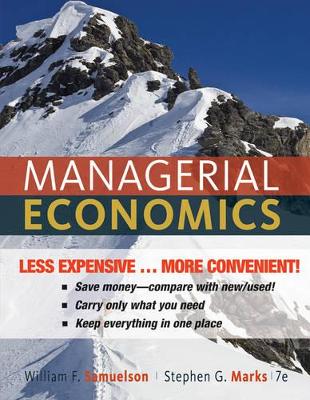 Managerial Economics, Seventh Edition Binder Ready Version book