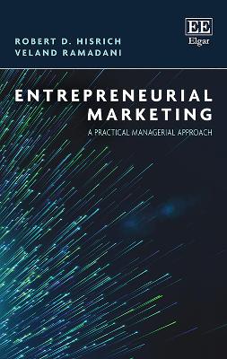 Advanced Introduction to Entrepreneurship book