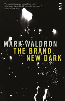 Brand New Dark book