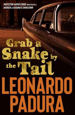 Grab a Snake by the Tail book