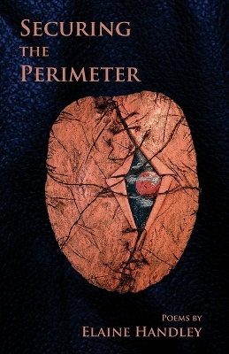 Securing the Perimeter book