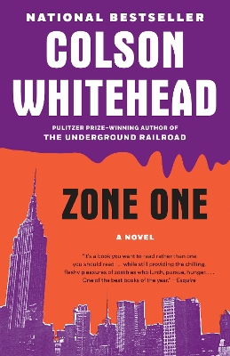 Zone One book