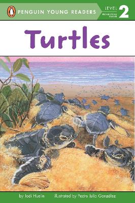 Turtles book