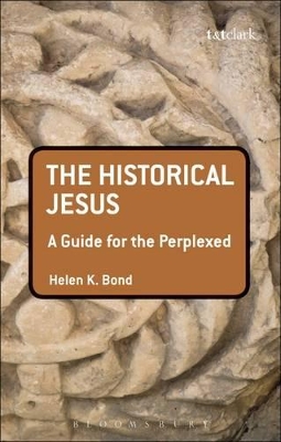 Historical Jesus book