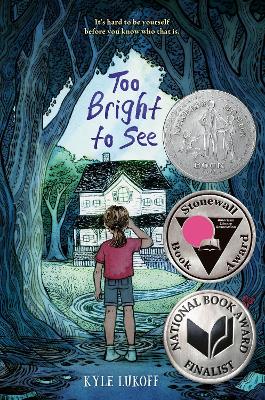 Too Bright to See: (Newbery Honor Award Winner) book
