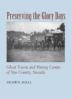 Preserving The Glory Days book