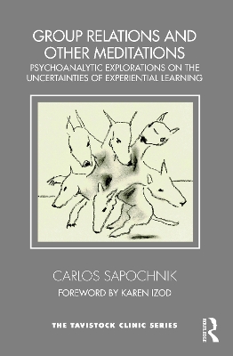 Group Relations and Other Meditations: Psychoanalytic Explorations on the Uncertainties of Experiential Learning by Carlos Sapochnik