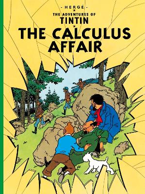 Calculus Affair book