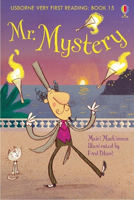 Mr. Mystery book