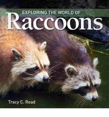 Exploring the World of Raccoons by Tracy C Read