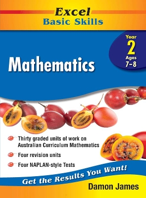 Excel Basic Skills - Mathematics Year 2 book