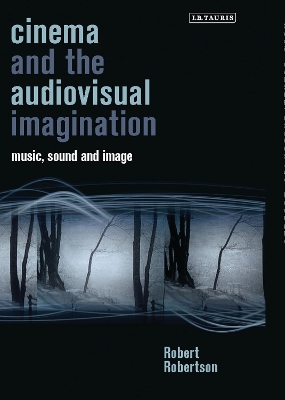 Cinema and the Audiovisual Imagination book