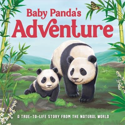 Baby Panda's Adventure book