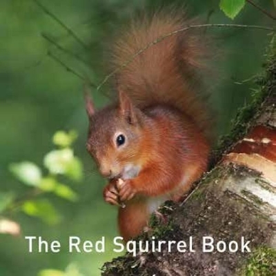 Nature Book Series, The: The Squirrel Book book