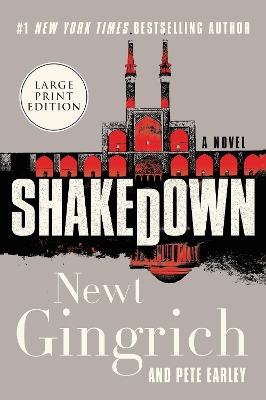 Shakedown [Large Print] book