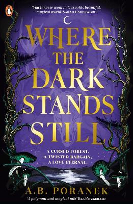Where the Dark Stands Still by A B Poranek