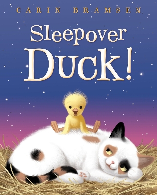 Sleepover Duck! book