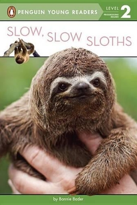 Slow, Slow Sloths book