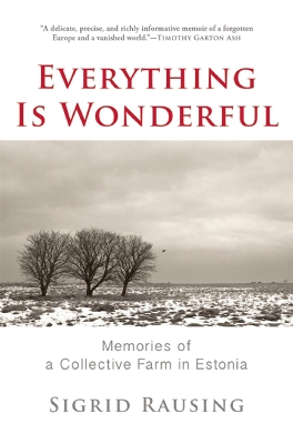 Everything is Wonderful by Sigrid Rausing