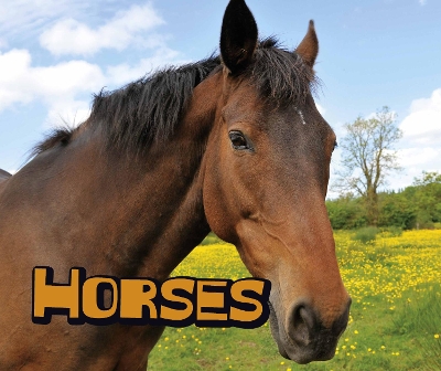 Horses by Sheri Doyle