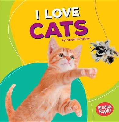 I Love Cats book