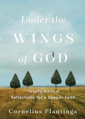 Under the Wings of God – Twenty Biblical Reflections for a Deeper Faith book