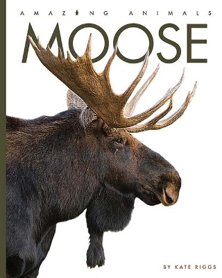 Moose by Kate Riggs