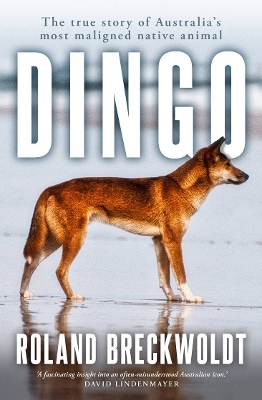 Dingo: The true story of Australia's most maligned native animal book
