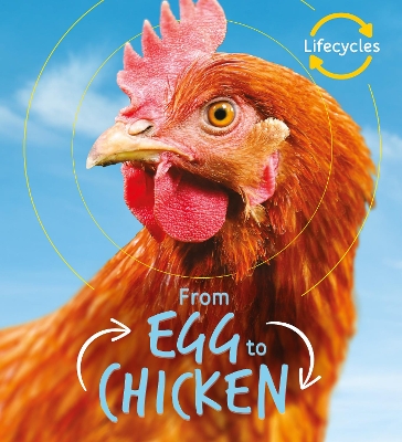 Lifecycles: Egg to Chicken by Camilla de la Bedoyere