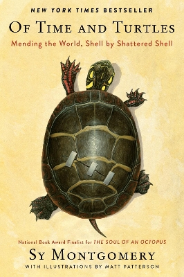 Of Time and Turtles: Mending the World, Shell by Shattered Shell book