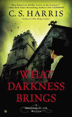 What Darkness Brings book