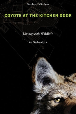 Coyote at the Kitchen Door book