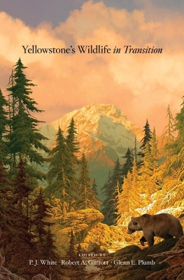 Yellowstone's Wildlife in Transition book