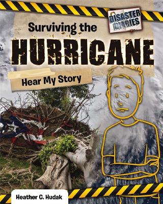Surviving the Hurricane: Hear My Story book