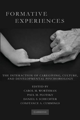 Formative Experiences by Carol M. Worthman