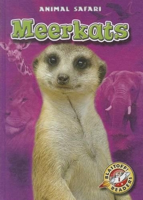Meerkats book